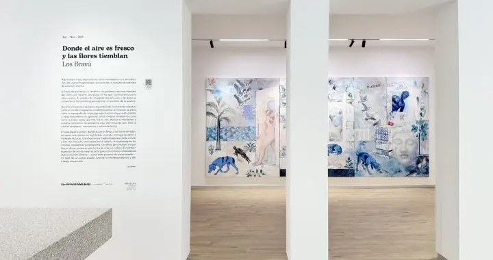 Los Bravú_Vista de sala