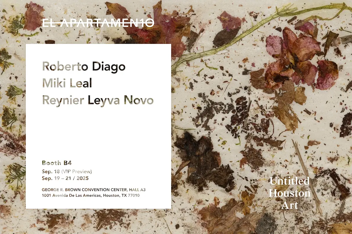 Untitled Art Houston