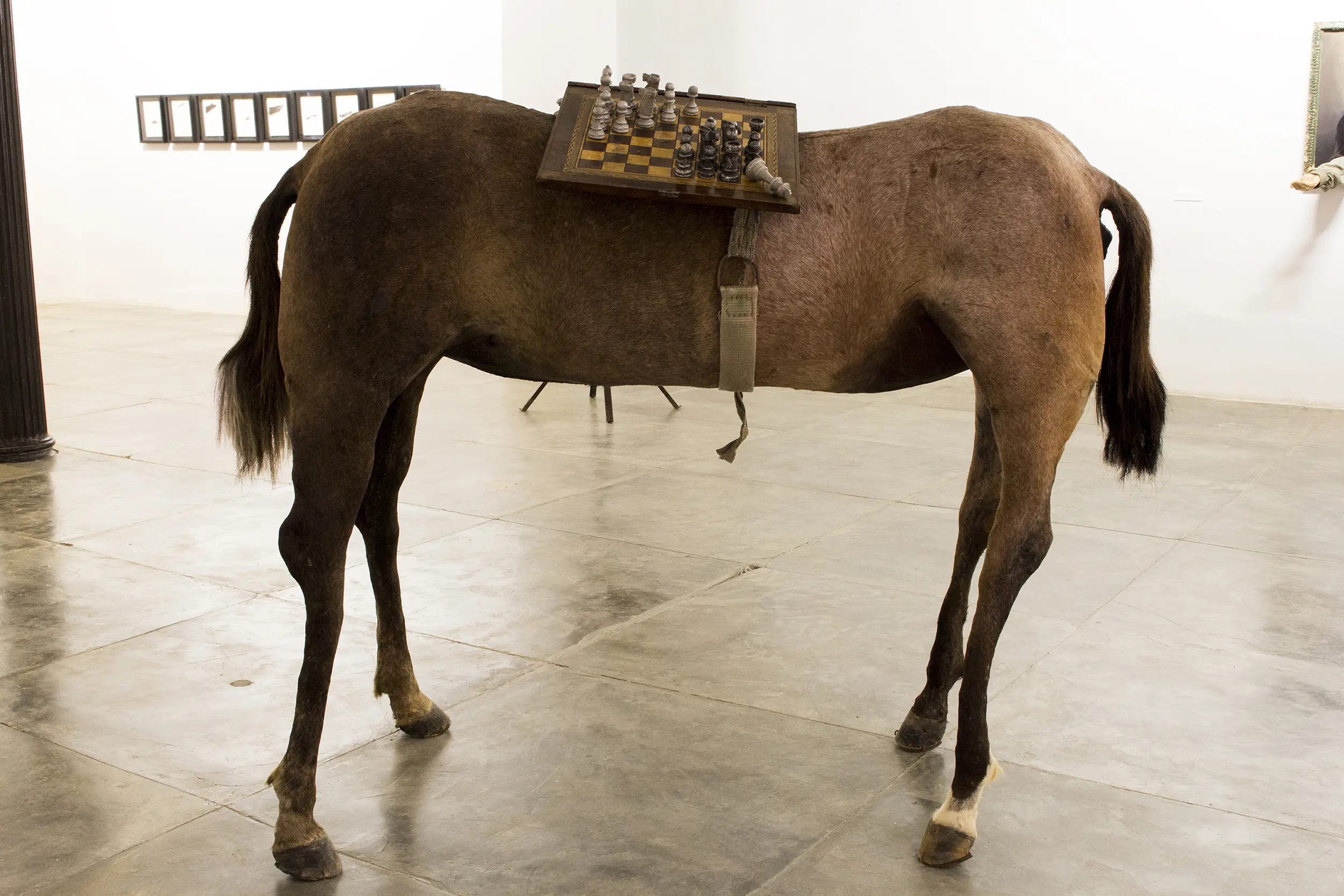 José Manuel Mesías