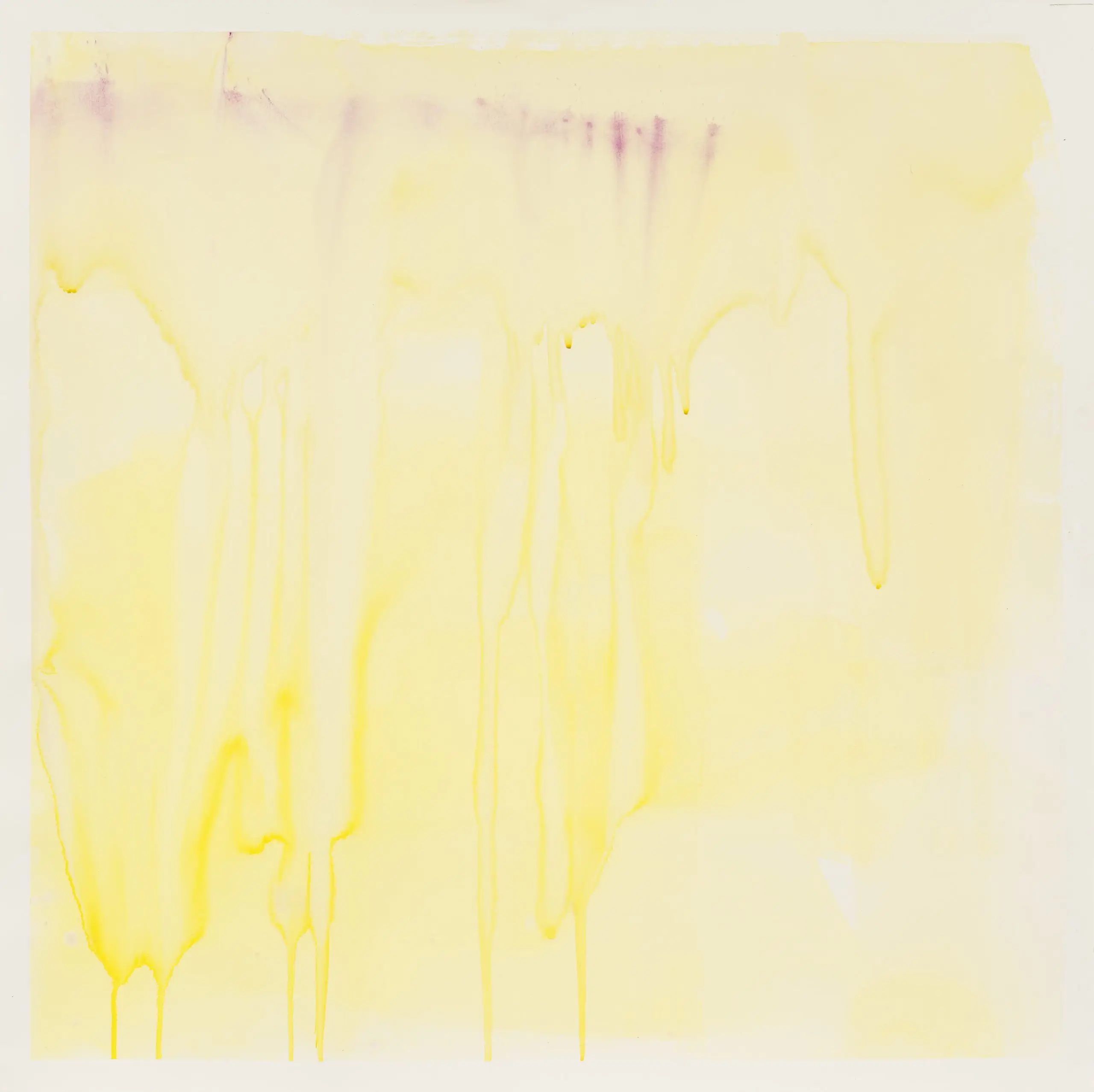 Maria Ana Vasco Costa. Glaze Drawing C#01. Tropicalia