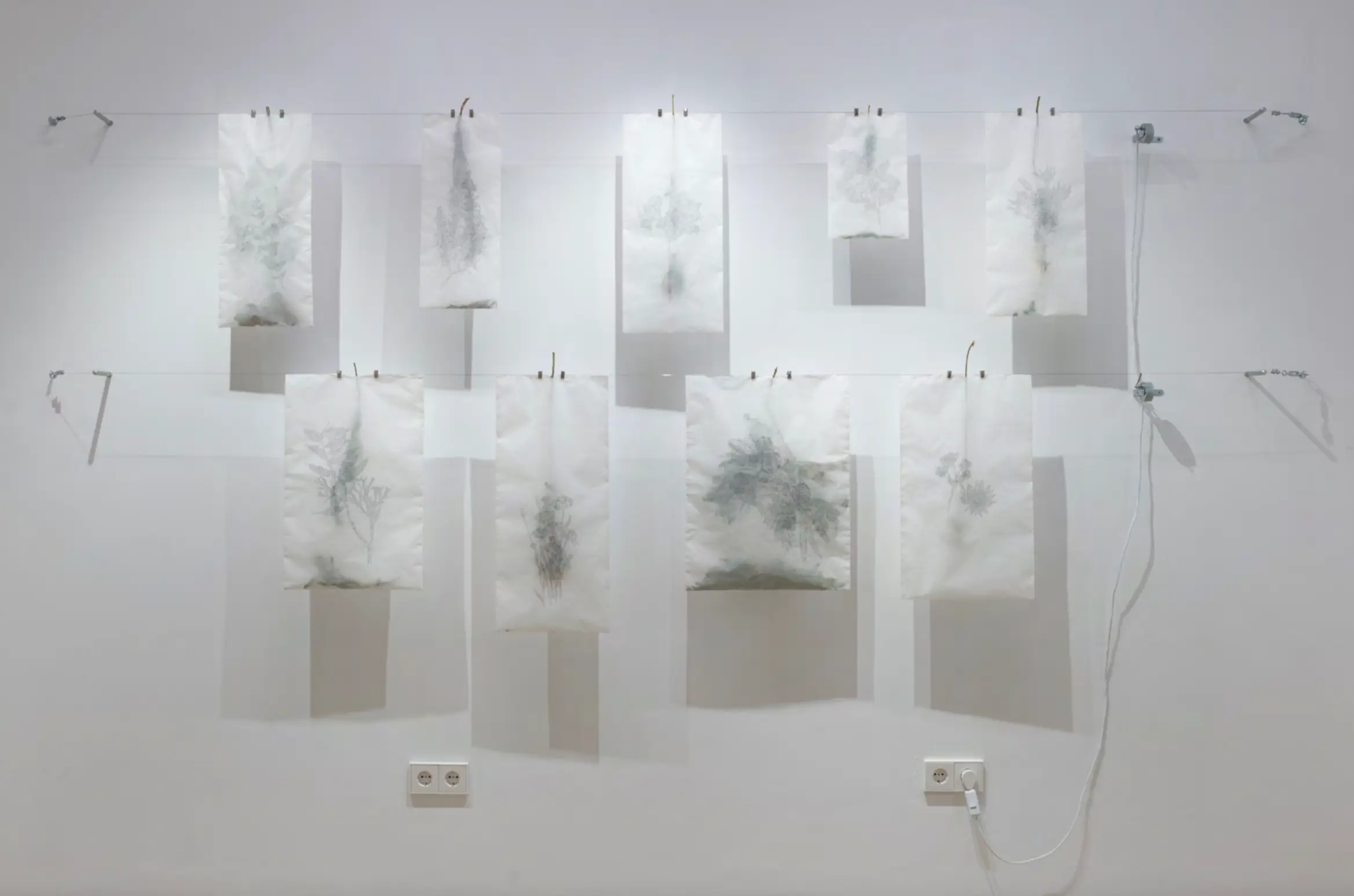 Ariamna Contino From the Manigua series, The History Collector. Tropicalia