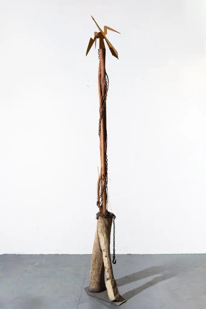 José Bedia